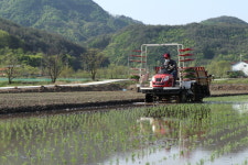 [농업과 오늘(25일) 날씨] 여름같은 불볕더위 기승... 오후 강원, 남부 곳곳 소나기 중부 밤부터 비