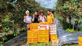 경기도, 농산물 활용 농식품 가공업체 10곳 경영컨설팅 지원키로