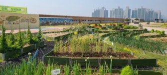 인천 남촌농산물도매시장 옥상해바람텃밭... 나눔과 기부의 풍성함이 넘실