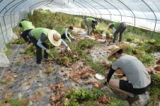 농협유통, 구슬땀 흘리며 농번기 일손돕기에 앞장서