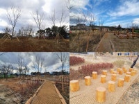 [농촌相生기업-우리금융그룹] 산불 지역에 생명 심고, 농산어촌 금융 특성화고 맞춤 지원