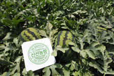 [농촌相生기업-홈플러스] 전국 550곳 신선농장 지정… 농가에 판로 보장, 소비자에 최상 품질로 농촌 상생 실천