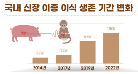 축산과학원의 신장 이종 이식 기술, 선도국 수준 성큼