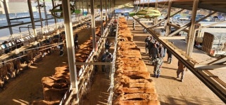 [2023 농협 축산경제(상)] 올 사업량 9조1090억원… 축산의 가치 제고 앞장