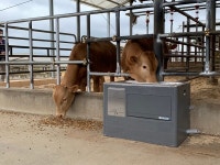 축산과학원, 사양기술 선도 농가와 함께 한우산업 위기 극복 힘 모은다