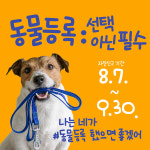 강진군, 반려동물 등록 자진신고 기간 운영...9월 30일까지