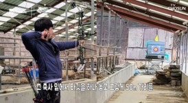 주재훈, 양궁 은메달.. 동호회 출신 직장인·축사 연습장 재조명