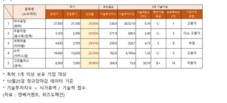10/25 주가급등 종목 기술력, 고평가 마녀공장·쏘카·우듬지팜... 상승 국제약품·STX중공업·제이에스코퍼레이션·대유에이텍