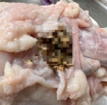 벌레 품은 생닭·대장균 득실 요거트...소비자 불안 가중시키는 먹거리