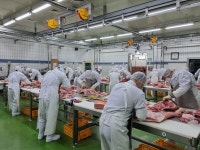 농협 축산경제-한돈자조금, 한돈 식육 인재 양성 맞손