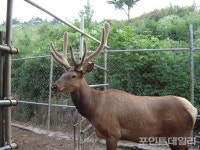 안종호 충북사슴농장 대표, 제32회 전국 우수사슴 선발대회 대상 수상