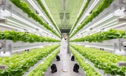 [출근길 포인트] 롯데하이마트-조립PC, 호텔신라-노인주거, 농심 스마트팜 신사업 추가