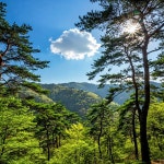 [내일(13일) 속리산 날씨] 쾌청한 하늘 아래 일교차 뚜렷…가벼운 외투 챙겨야