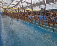 대상·풀무원, 해수부 김 육상양식 국책 연구개발 사업자 선정