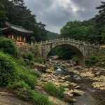 [26일(목) 대둔산 날씨] 흐리고 습한 하루, 오후 잠시 갬