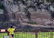 반구대 암각화, 유네스코 세계유산 등재…선사 고래그림, 세계가 인정