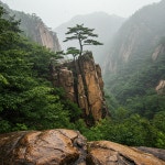 [내일(6일) 도봉산 날씨] 종일 이어지는 비…오후 늦게 흐림 전환