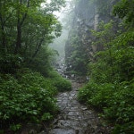 [내일(16일) 칠갑산 날씨] 오전 흐림, 오후 소나기…최고 28℃