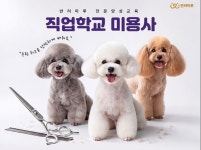 경기도, 반려동물 전문가 키운다... 미용사·훈련사 무료 자격교육