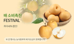 농협, 국산 배 소비 촉진 특별할인… 최대 40%↓
