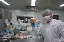 경기 화성 백미리영어조합법인, 돈 되는 어촌마을 견인차