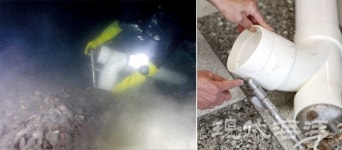 제3·4구잠수기수협, 바지락 채취 때 분사기 사용 허용해야