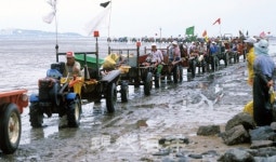 수협조합원·어촌계원 자격 논란