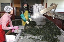 영어조합법인 인성수산식품  꼬시래기 하나로 만든 어촌 활력