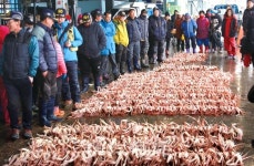 영덕대게축제 한 달 앞당긴 사연은…