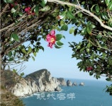 [2020 3월호 표지] 통영시 욕지면