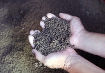 생사료 먹인 고기가 더 잘 팔리는데  배합사료 의무화 가능할까?