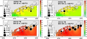 올 가을 남해안 멸치 풍년 예상
