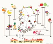 ⑥ 아쿠아포닉스, 농수산업의 새로운 패러다임