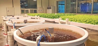 갈길 먼 친환경 수경재배 아쿠아포닉스