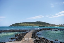 김준의 어촌정담 漁村情談 54 그래도 먹고 살아야 했다, 사난 살았주