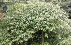 김준의 어촌정담 漁村情談 58. 가장 아름다운 바다는 자연을 닮은 당신의 마음