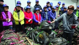 제1,2구잠수기수협 잠수기어업 100년 역사 쓰다