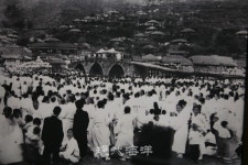 김준의 어촌정담 漁村情談 61. 벌교 꼬막인심, 다시 돌아올까(2)