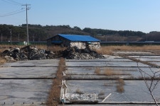 김준의 어촌정담 漁村情談 76. 황발이 뭍에 오르다