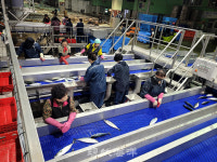 부산공동어시장 현대화사업 순항 中