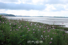 김준의 어촌정담 漁村情談 90. 시한부 섬, 그들의 운명은 어떻게 변할까