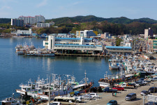 구룡포수산업협동조합 고래 특화 수협으로  거듭난다
