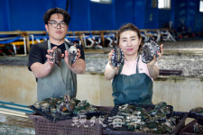 청해진수산, 국내 전복 유통  1위의 힘