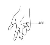 [길벗 칼럼] 성기능 강화에 도움되는 수승화강 지압법