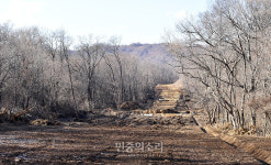 북한 측에서 작업 중인 도로[포토]