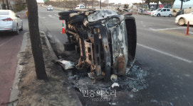 [르포] 불탄 농장의 소 울음과 눈물 삼키는 주인 “울면 뭐해”