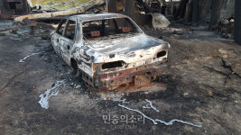 [르포] 불탄 농장의 소 울음과 눈물 삼키는 주인 “울면 뭐해”