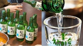 소주값 인상 ‘#OTL#인상무상#잔당625원’ 인스타 ‘와글와글’