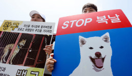 ‘동물학대’ 논란, 부산 구포개시장 완전 폐업