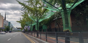 고양시 덕양구, 은행나무 열매 수거장치 설치